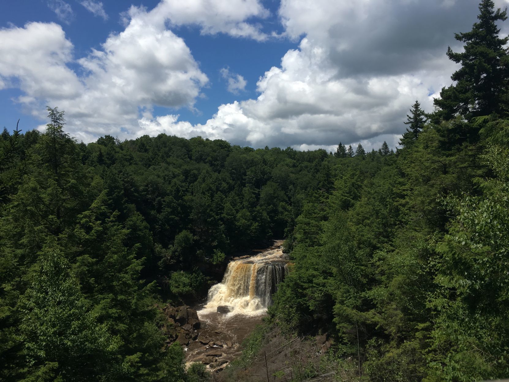 Blackwater Falls